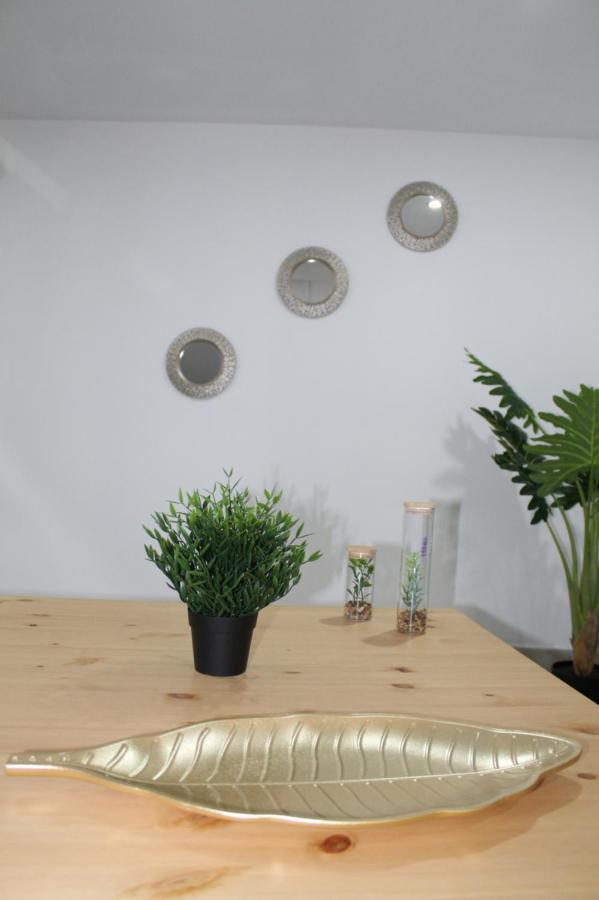 Apartamentos Los Nidillos 라스팔마스 외부 사진
